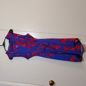 41 Hawthorn High Low Dress in Blue and Red Floral